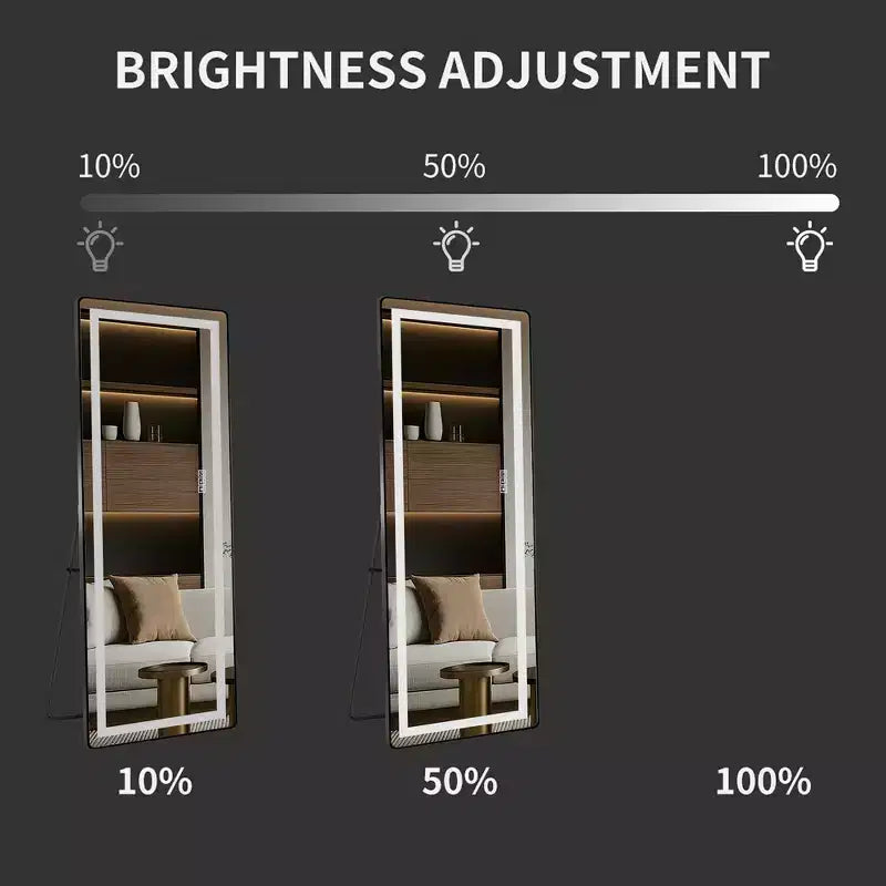 Full-Length Dressing Mirror with 3-Color Dimmable Light and Aluminum Frame, Wall Mount or Floor Bracket Standing, 21x64 - Black